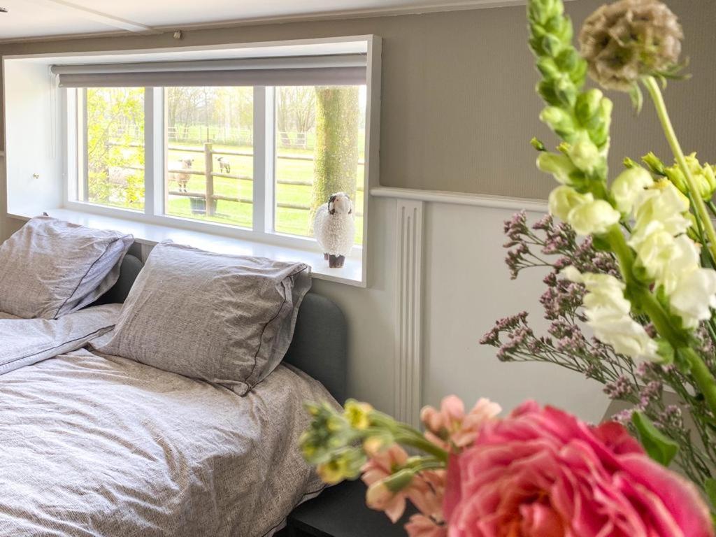 4Seasonshouse Villa Losser Ngoại thất bức ảnh